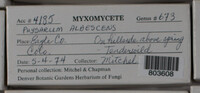 Image Associated With the Occurence